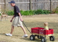 Wagon Ride with Braden