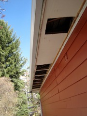 Soffit