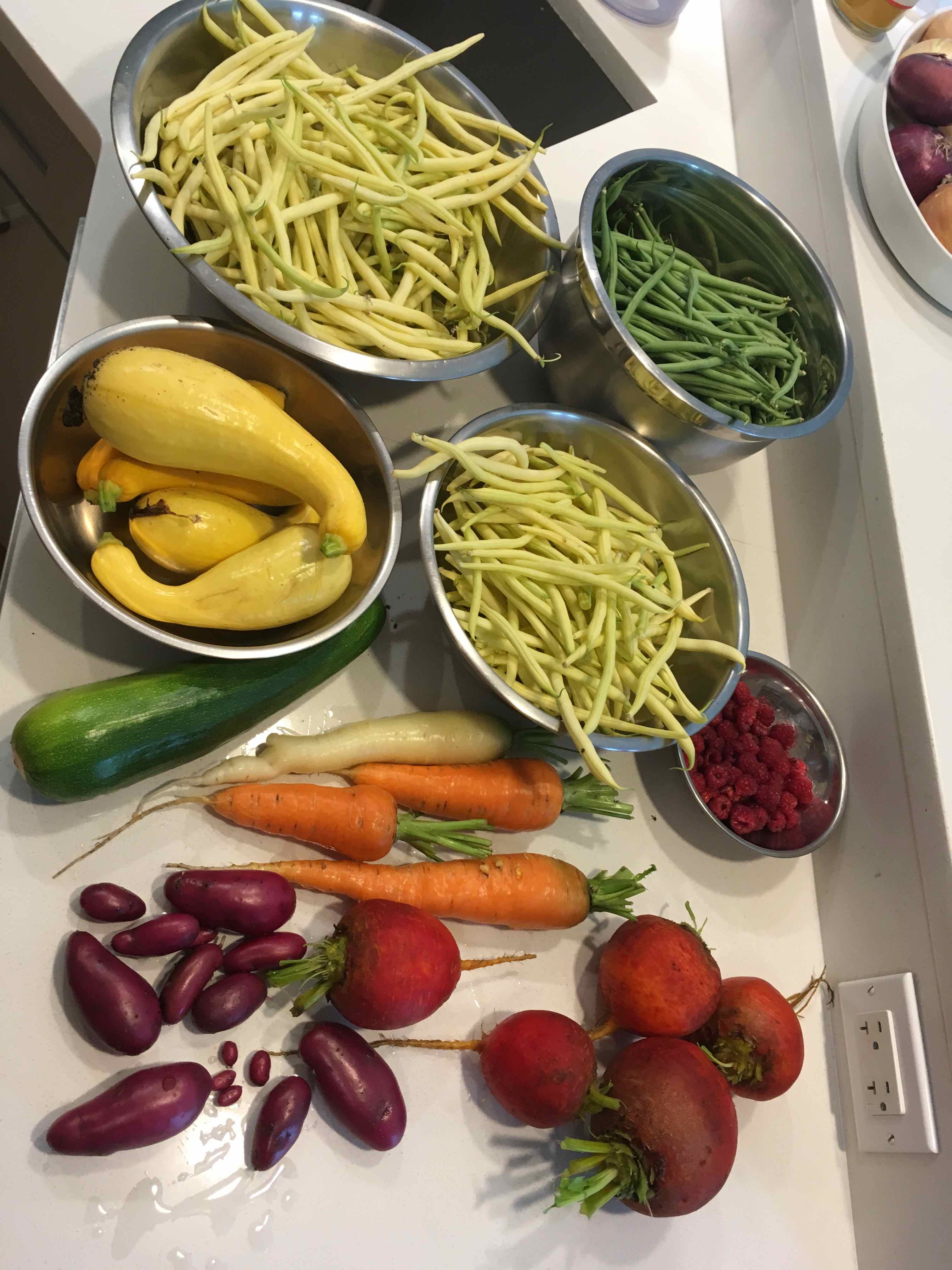 Garden Bounty