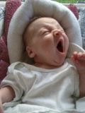 Yawn