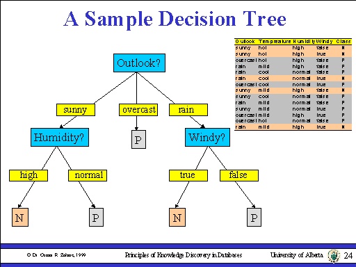 A Sample Decision Tree